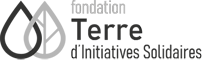 logo-fondation-terre-dinit-solidaires-60 Logo fondation Terre d'initiatives solidaires
